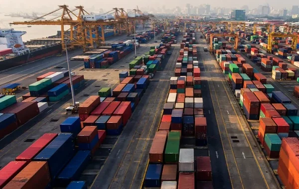 Aerial view of shipping containers stacked in rows at a busy international port terminal with cargo cranes and vessels, illustrating global supply chain complexities and import dependencies that domestic folding carton manufacturing helps businesses avoid