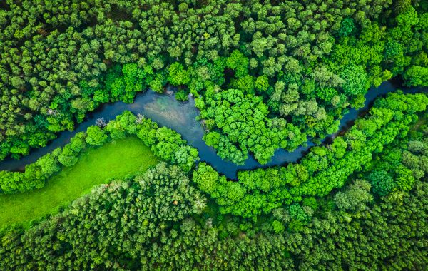 CartonCraft sustainability commitment — Earth Day