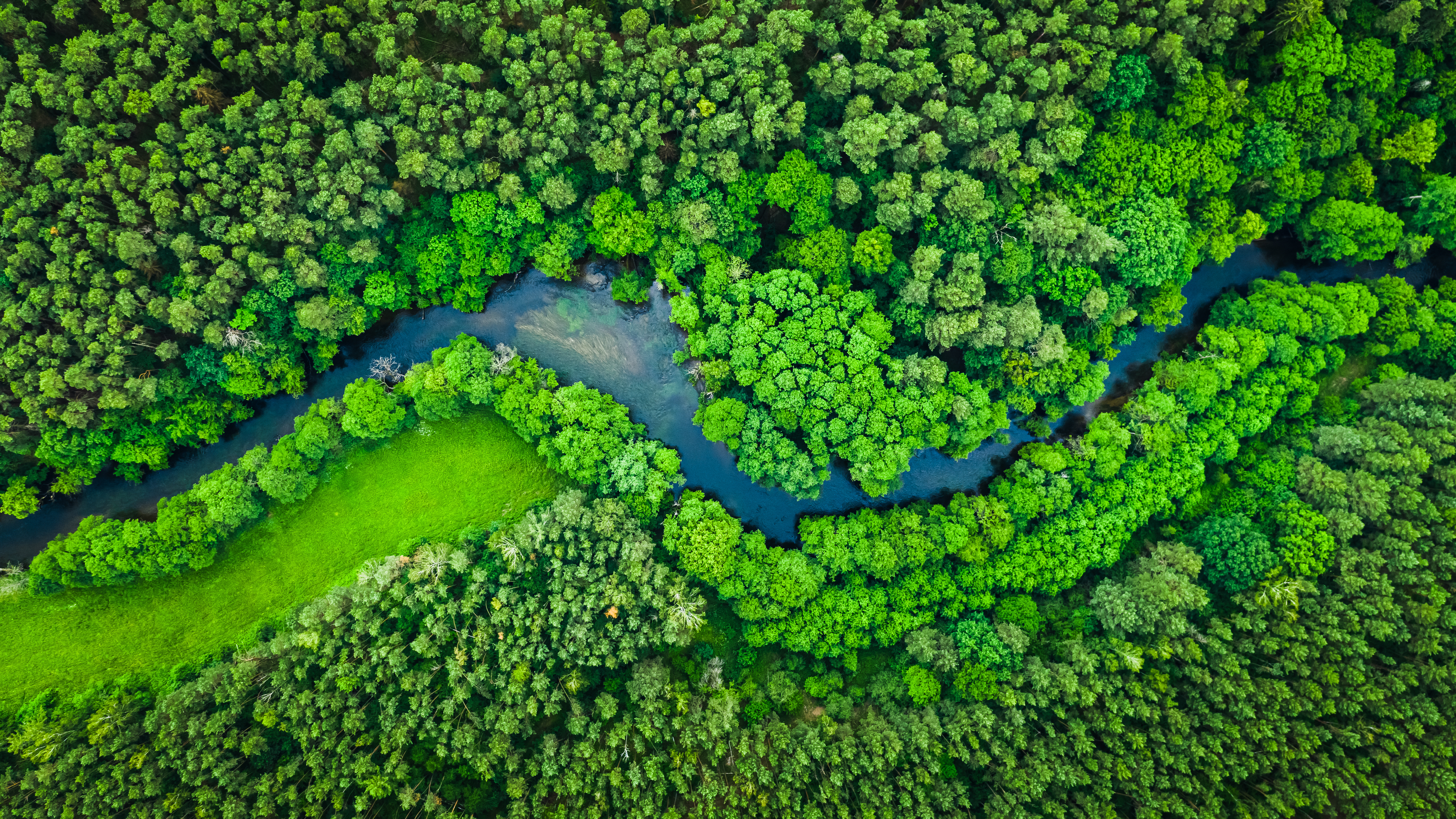 CartonCraft sustainability commitment — Earth Day